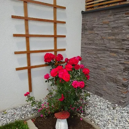 Haus Lienbacher Flachau