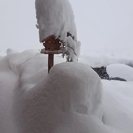 هاوس لينباتشير شقة *