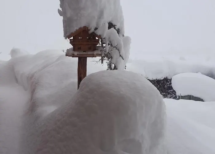 Haus Lienbacher アパート *